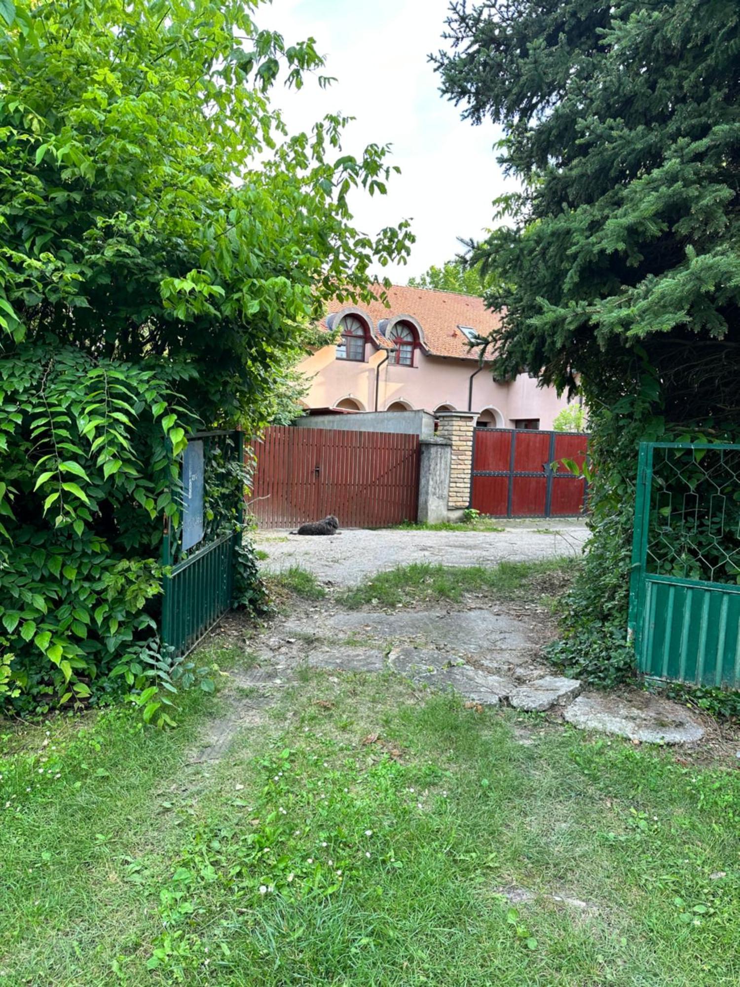 Vila Regina Bed & Breakfast Palic Room photo